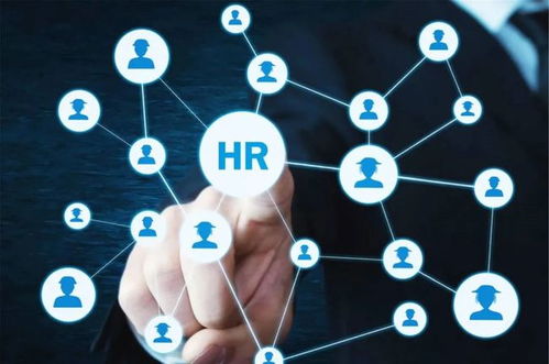 農業“新農人” 想做風口上的“智能豬”，技術開發能力不可少